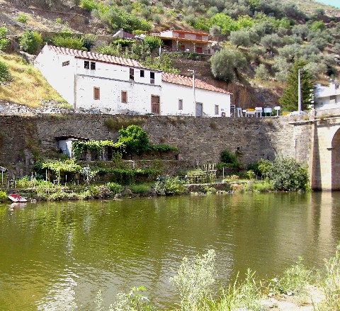 Pinhao smallholding, Duoro River, Portugsal August 2007 (480x439)